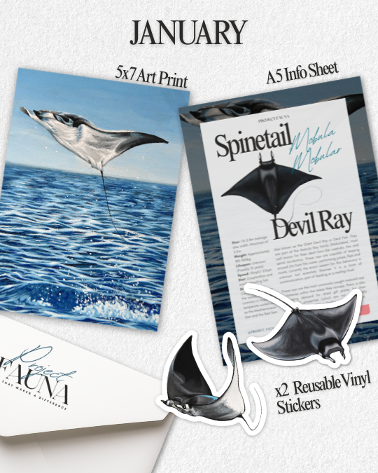 Protector Membership