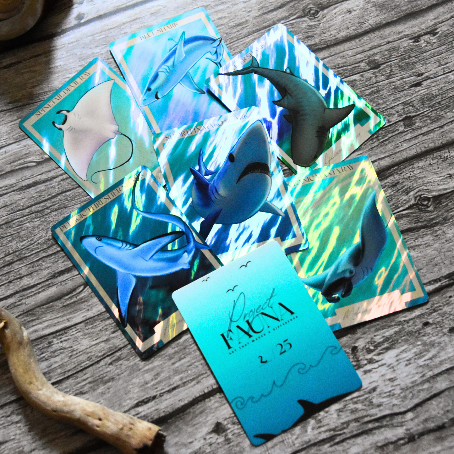 *Limited Edition* Holographic Art Cards