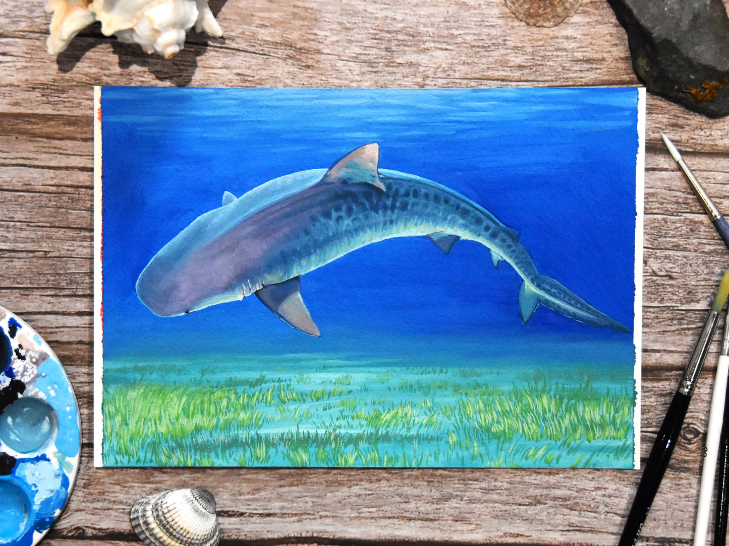 "Tiger Shark" Original Painting