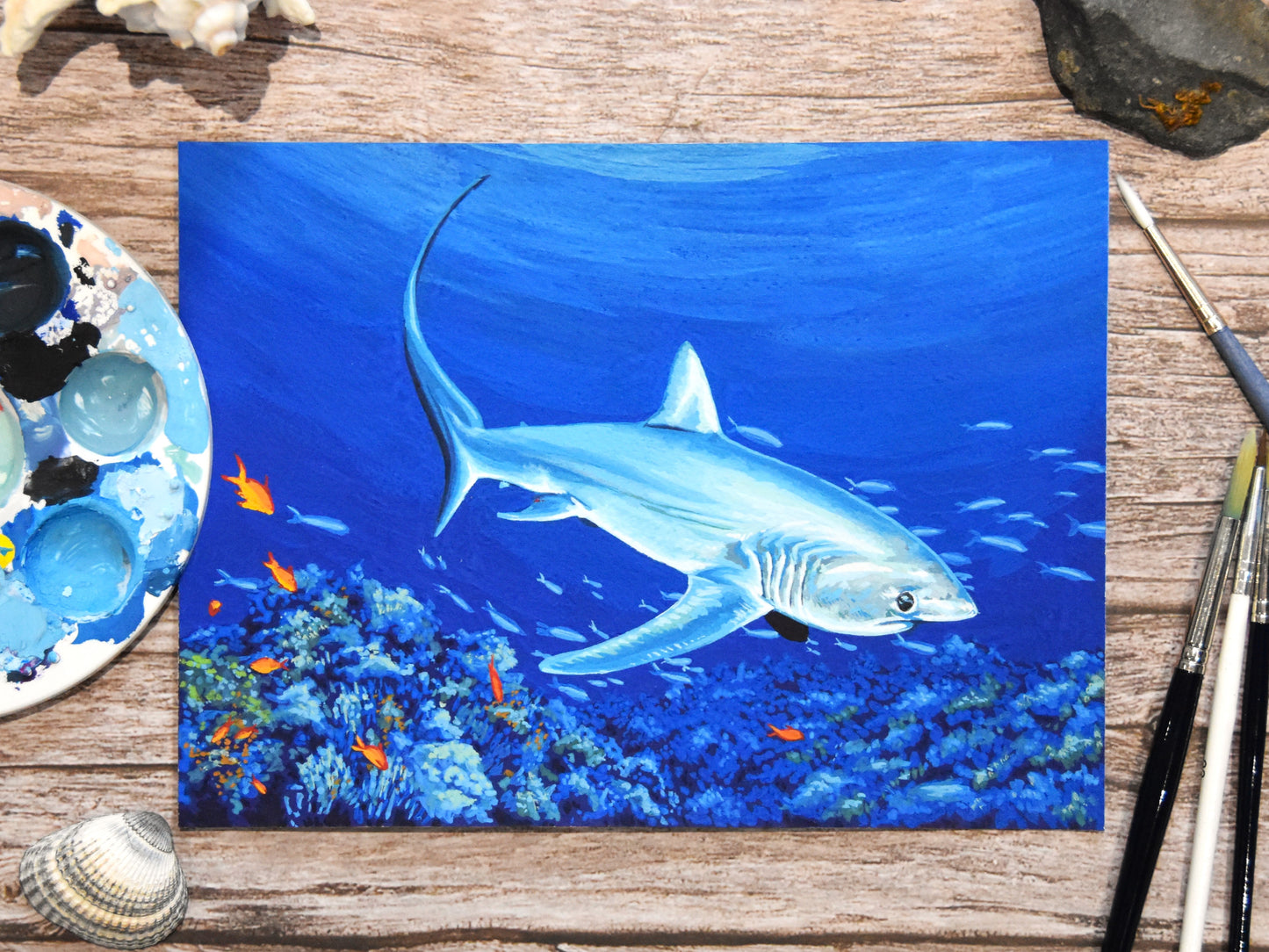 "Pelagic Thresher Shark" Original Painting