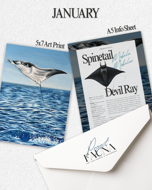 Sanctuary Membership