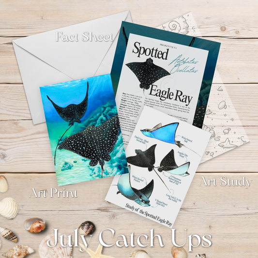 July 2026 Catch Up Prints