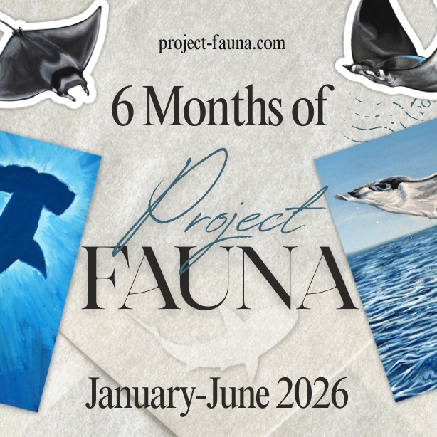 6-12 Months of Project Fauna