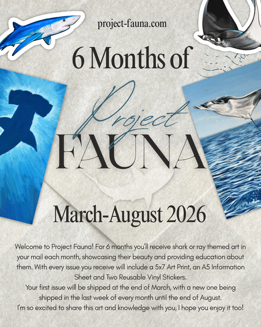 6-12 Months of Project Fauna