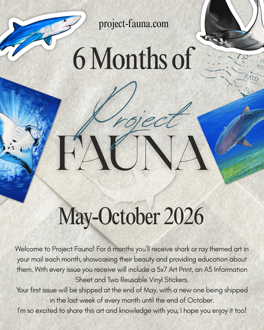 6-12 Months of Project Fauna