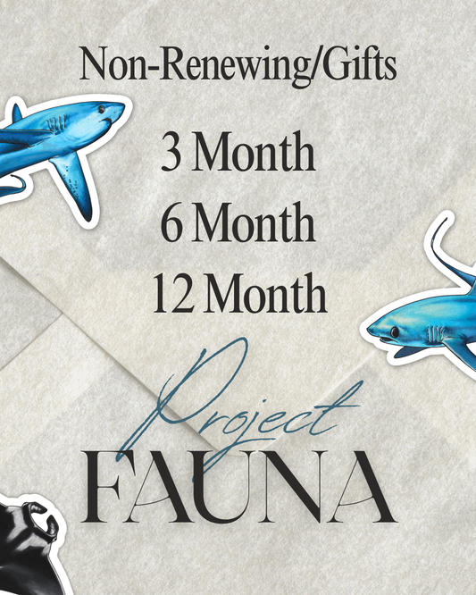 3, 6 or 12 Months of Project Fauna (All tiers available)