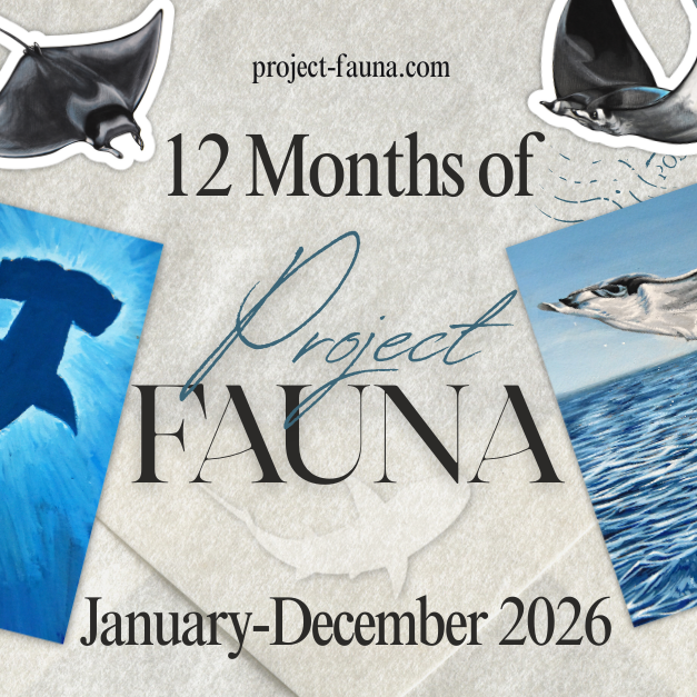 6-12 Months of Project Fauna