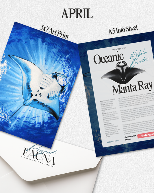 Sanctuary Membership