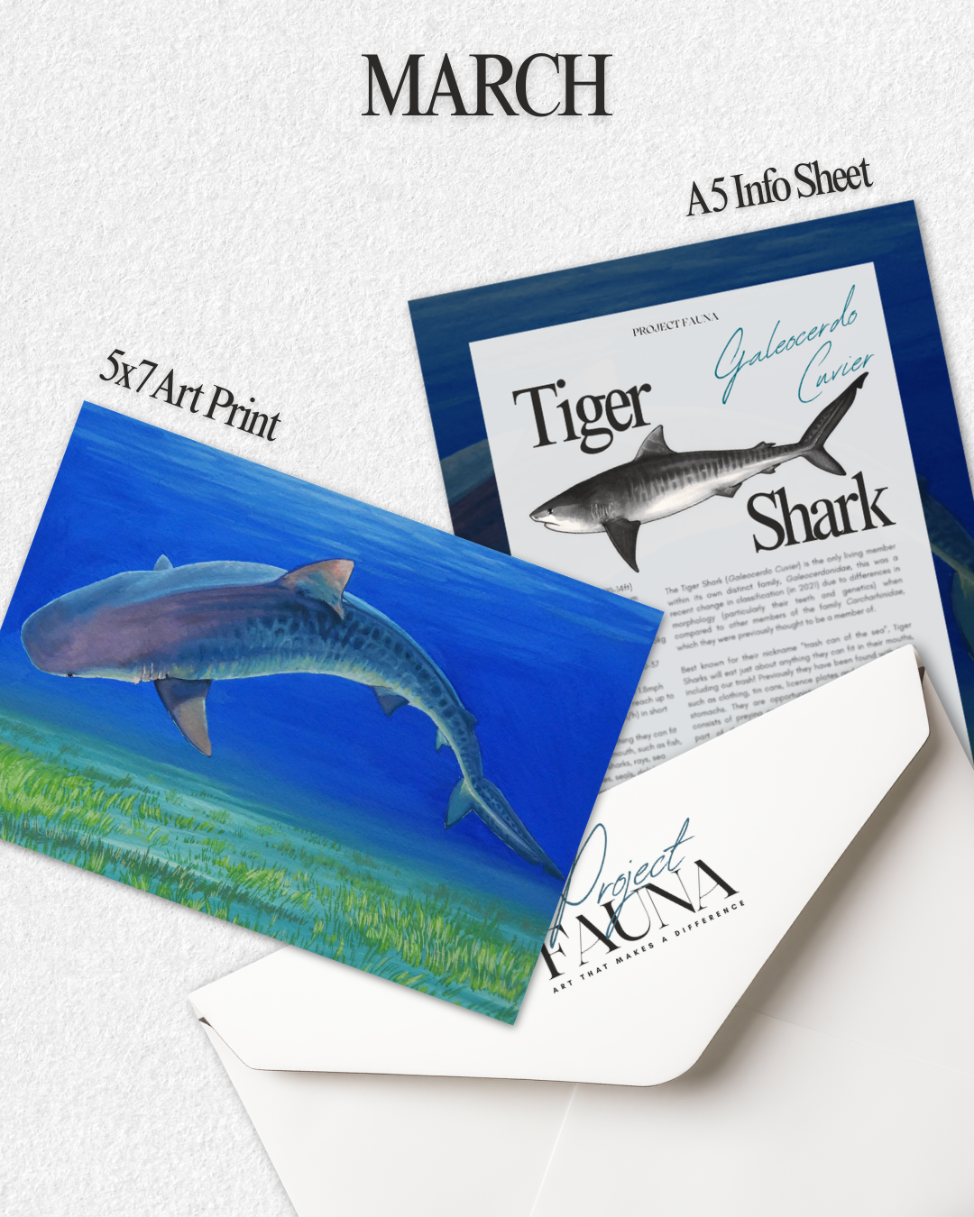 Sanctuary Membership