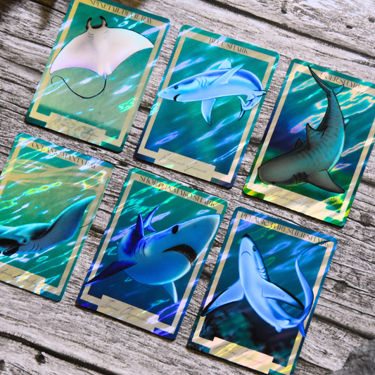 *Limited Edition* Holographic Art Cards