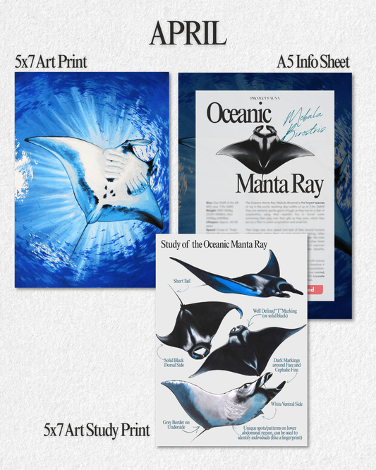 April 2026 Catch Up Prints