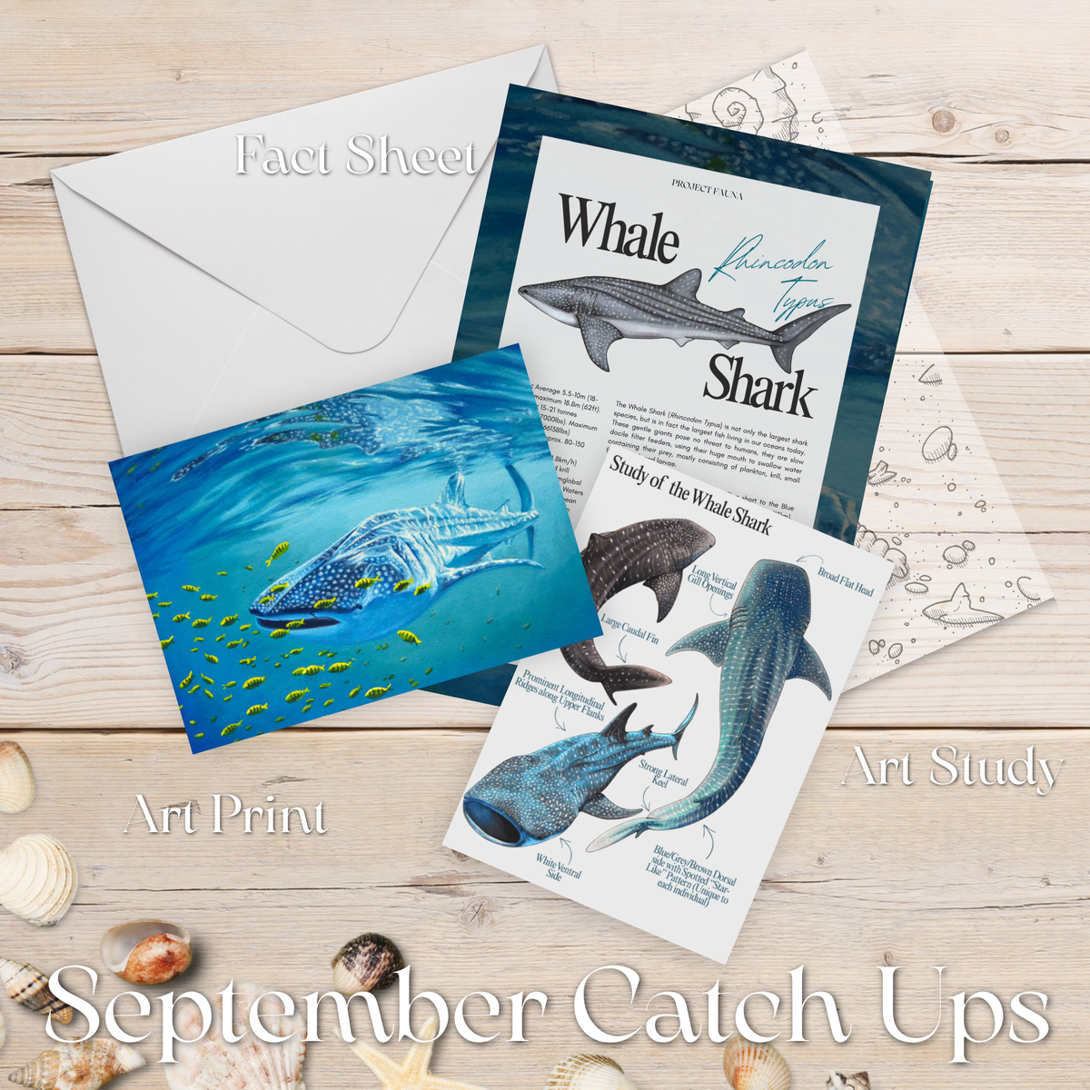 September 2026 Catch Up Prints