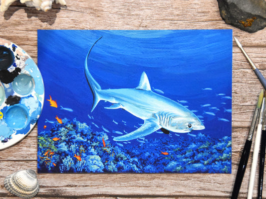 "Pelagic Thresher Shark" Original Painting