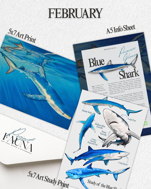 February 2026 Catch Up Prints