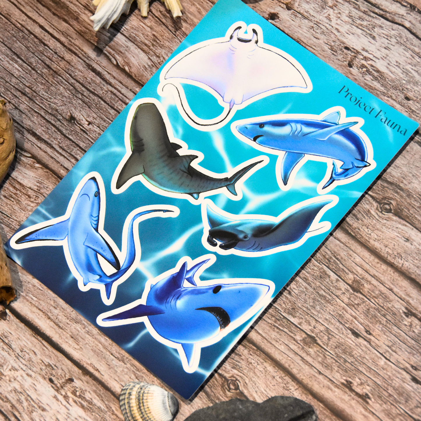 *Limited Edition* Shark & Ray Sticker Sheet