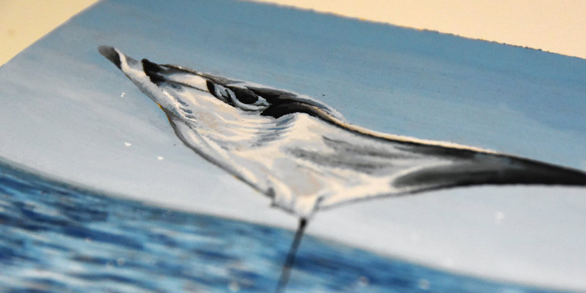 About the Artist – Project Fauna